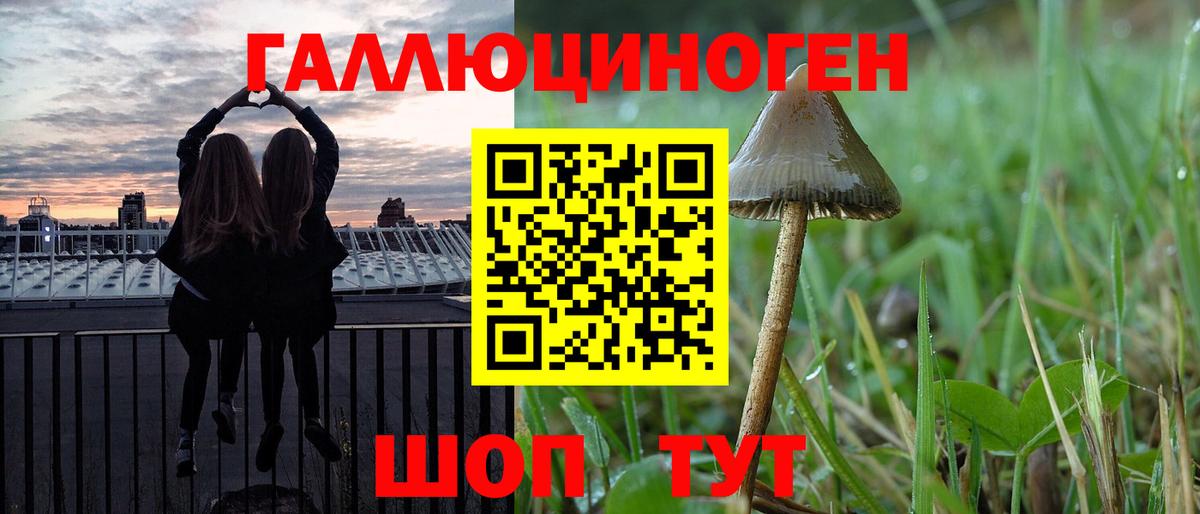 Псилоцибиновые грибы Psilocybe  Галлюциногенные грибы GOLDEN TEACHER  Вход с VPN  Ишим 
